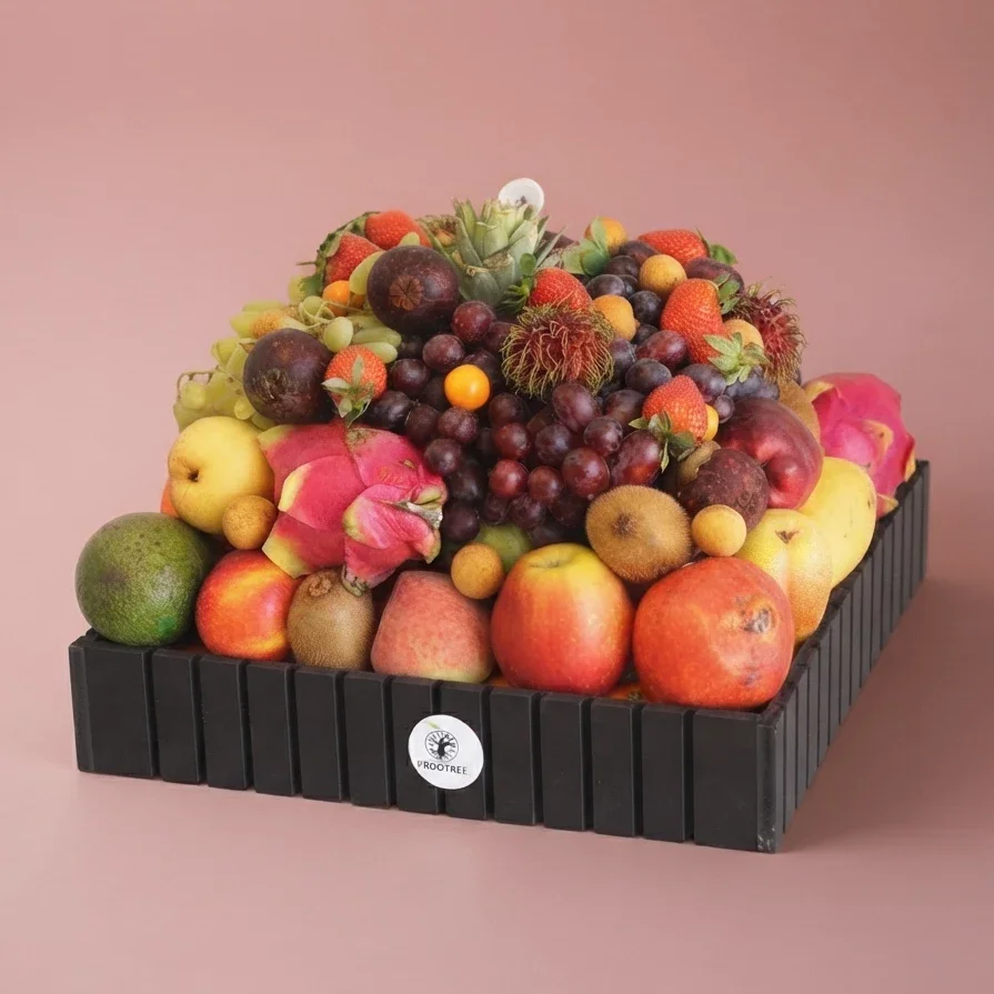 Square Fruits Salla